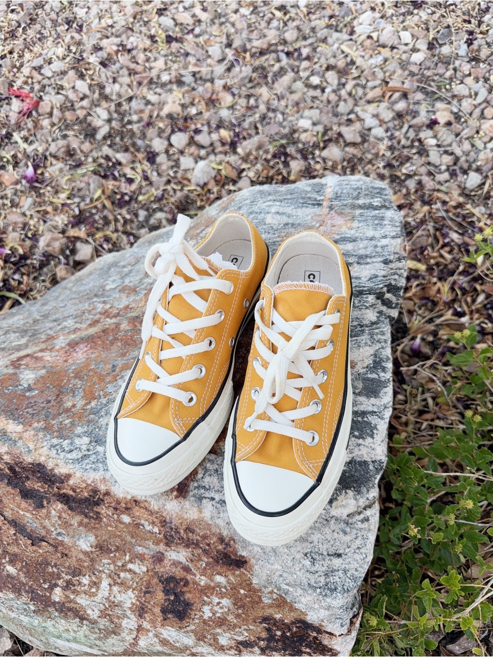 Converse Kids Low Top Canvas Sneakers in Mustard Yellow with White Laces